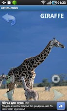 ��� ��������� �����