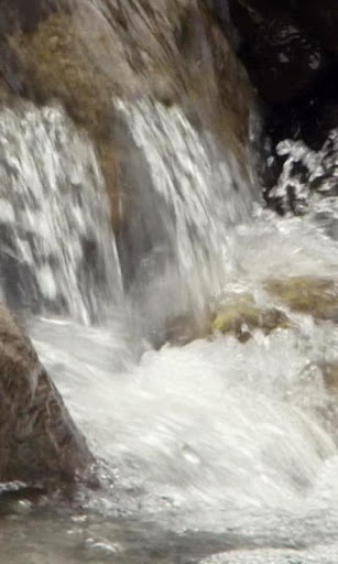 Don't donate blind: How to ensure your money reaches Nepal | CTV News