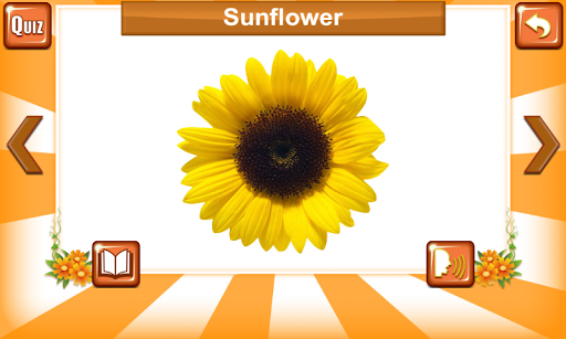 【免費教育App】Learn By Fun Flowers-APP點子