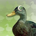 Duck Fart logo
