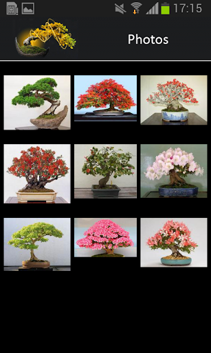 【免費生活App】Bonsai App (demo)-APP點子