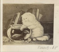 Fotoreproductie van (vermoedelijk) een schilderij met een kat bij een vissenkom