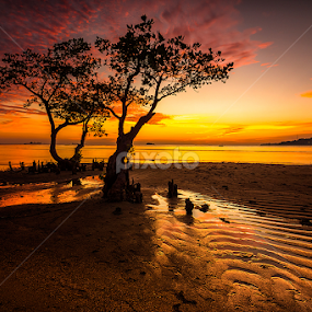 The Couple by Ade Noverzan - Landscapes Beaches