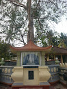 Buddha Statue and Bo Tree