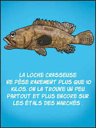 fish lagoon poster 2