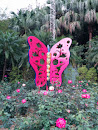 Butterfly Love Flowers