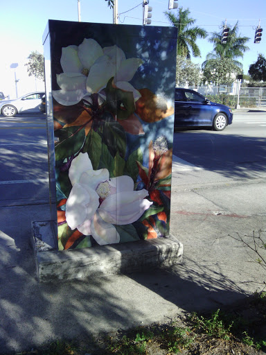 Magnolia Flower Utility Box