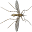 Smash mosquito Download on Windows