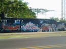 Evanston Graffiti Wall