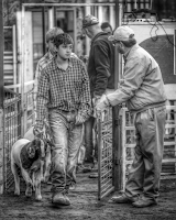 Stock Show 2 by Rob Baker - People Family