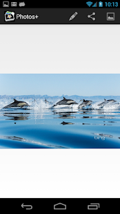 Aviary Editor for Facebook Screenshots 1