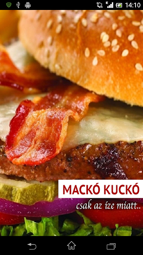 Mackó Kuckó