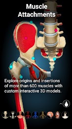 Anatomy Learning - 3D Anatomy 3