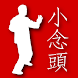 Wing Chun Siu Nim Tau Notes