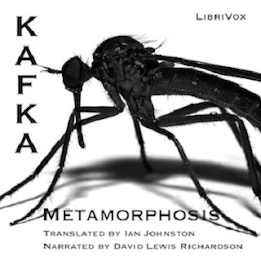 The Metamorphosis audio/text poster 5