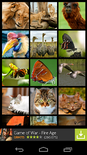 Animals Wallpapers(圖1)-速報App