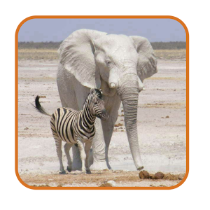 Safari List - Southern Africa.apk 1.40.00