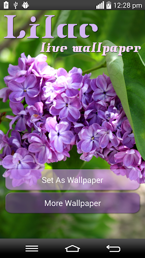 Lilac Live Wallpaper