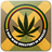 Raggae logo