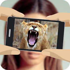What animal am i? Hacks and cheats