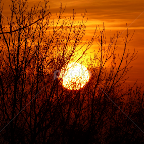 Autumn sunset (II) by Cristian Vidrașcu - Landscapes Sunsets & Sunrises