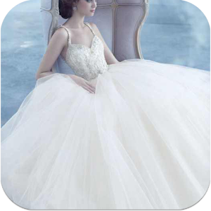 احدث تصميمات فساتين الزفاف.apk 1.0