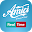 Amici Real Time Download on Windows