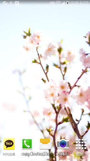 Cherryblossom Livewallpaper