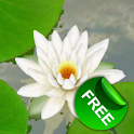 3D Lotus Live Wallpaper Free logo