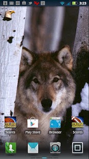 Animals in Nature Live WP Screenshots 4