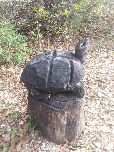 Carved Turtle