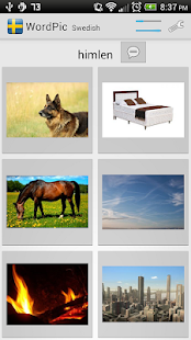 Learn Swedish with WordPic