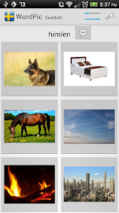 Learn Swedish with WordPic(圖1)-速報App