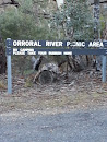 Orroral River Picnic Area