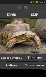 Guess the reptile poster 4