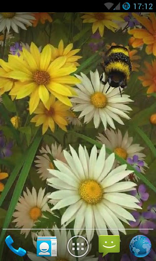 Bee Live Wallpaper HD