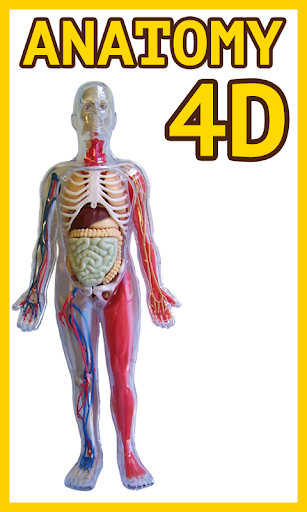 Anatomy Physiology 4D‏