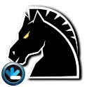 World Chess Net logo