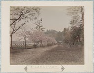 Weg van de Shinobazu-vijver naar de poort van het Ueno-park in Tokyo