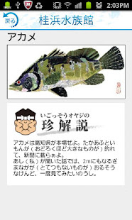 i 水族館　桂浜・足摺(圖3)-速報App