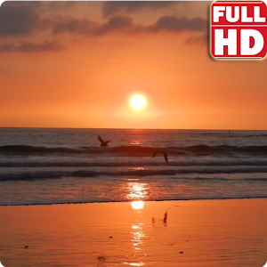 Sunset Relaxing Waves Live HD logo