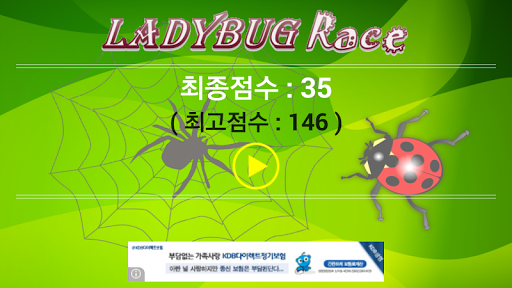 Ladybug Race - 달려라 무당벌레