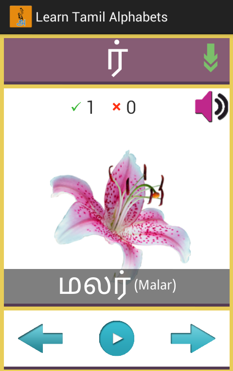 Learn Tamil Alphabets - Android Apps on Google Play