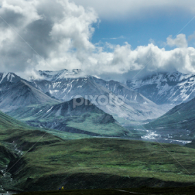 Denali National Park, Alaska by Tracy Riedel-Dorsch - Landscapes Mountains & Hills
