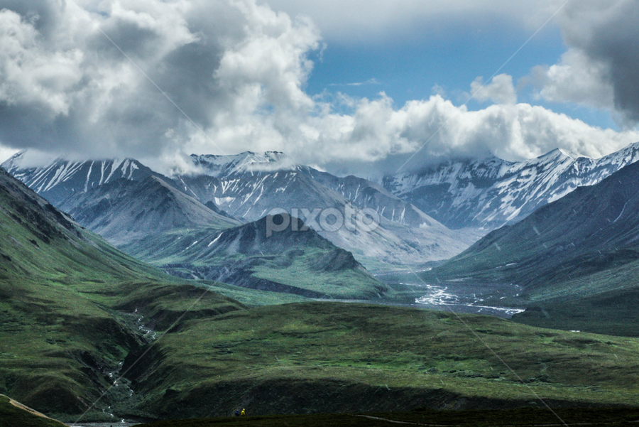 Denali National Park, Alaska by Tracy Riedel-Dorsch - Landscapes Mountains & Hills
