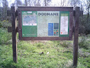 Doonane Forest Recreation Area