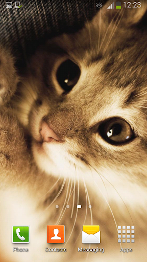 免費下載個人化APP|Cats Live Wallpaper app開箱文|APP開箱王