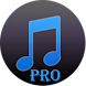 Easy MP3 Downloader Pro