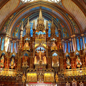 Notre-Dame Basilica by Naveen Naidu - Buildings & Architecture Places of Worship