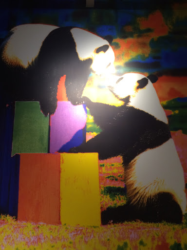 Pandas in the Sun Mural